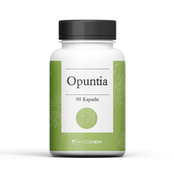 Opuntia aus der Heilpflanze Opuntia Kaktusfeige Opuntia Kapseln