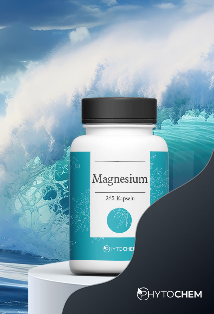 Magnesium Kapseln Nahrungsergänzungmittel